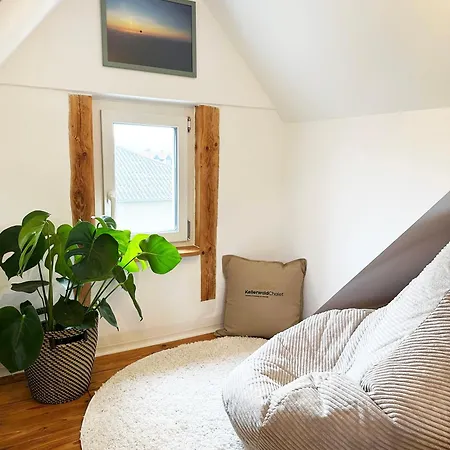 Kellerwaldchalet In Mit Grossem Garten Zur Alleinnutzung Holiday home *