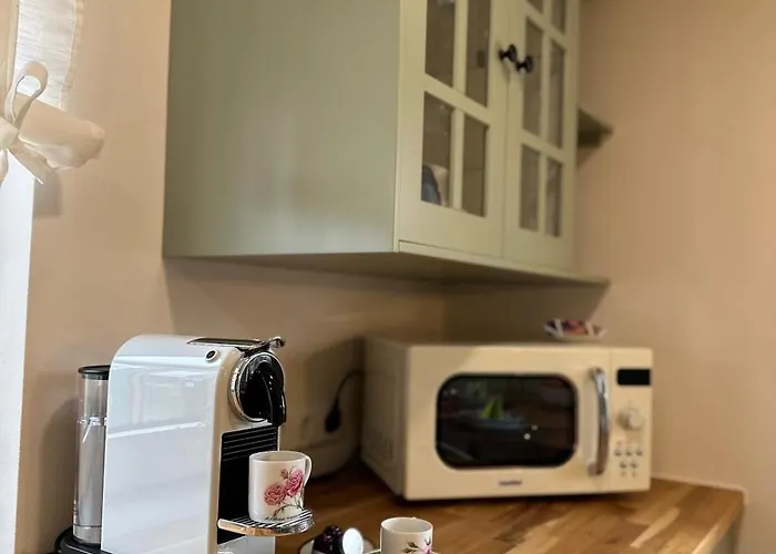 Kellerwaldchalet In Mit Garten Zur Alleinnutzung * Jesberg