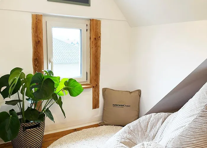 Kellerwaldchalet In Mit Garten Zur Alleinnutzung بيت للعطل *